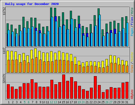 Daily usage for December 2020