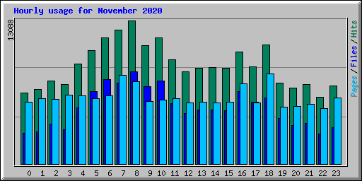 Hourly usage for November 2020