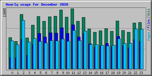 Hourly usage for December 2020