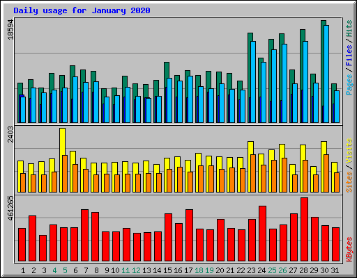 Daily usage for January 2020