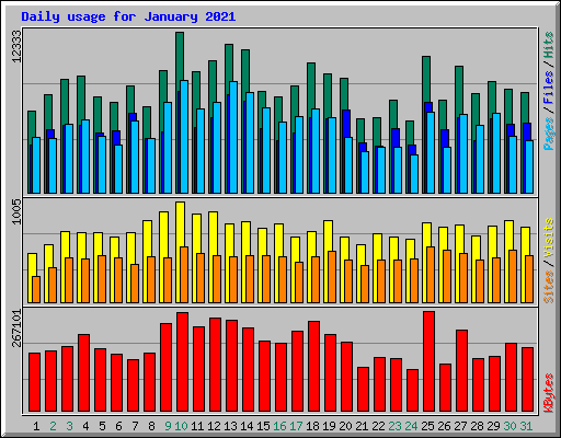 Daily usage for January 2021