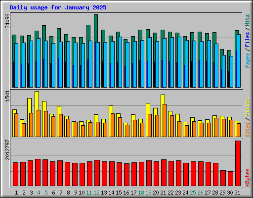 Daily usage for January 2025