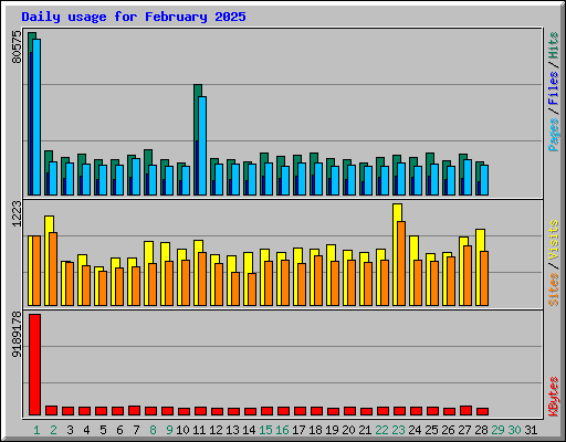 Daily usage for February 2025