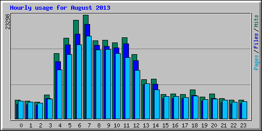Hourly usage for August 2013