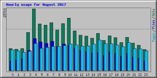 Hourly usage for August 2017