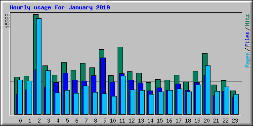 Hourly usage for January 2019