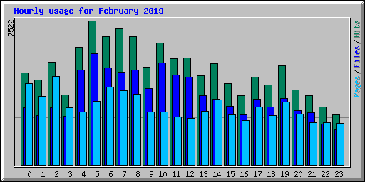Hourly usage for February 2019