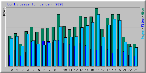 Hourly usage for January 2020