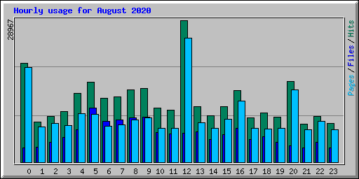 Hourly usage for August 2020