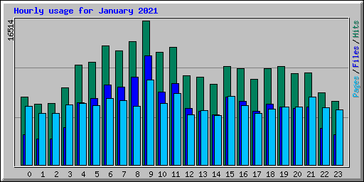 Hourly usage for January 2021