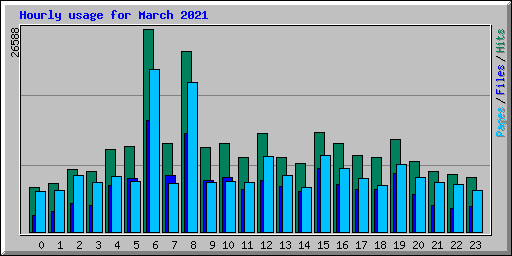 Hourly usage for March 2021