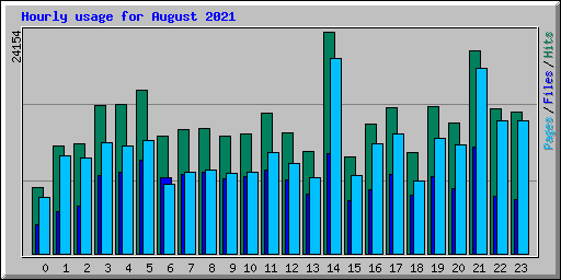 Hourly usage for August 2021