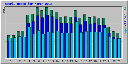 Hourly usage for March 2022