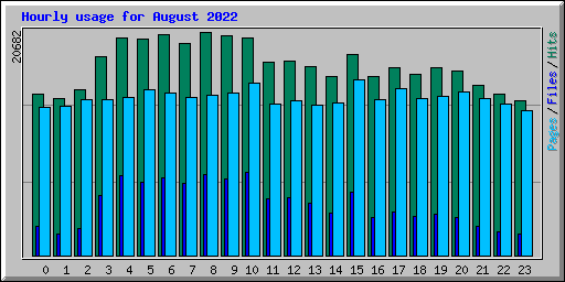 Hourly usage for August 2022