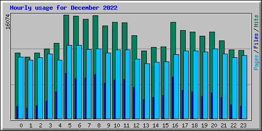 Hourly usage for December 2022