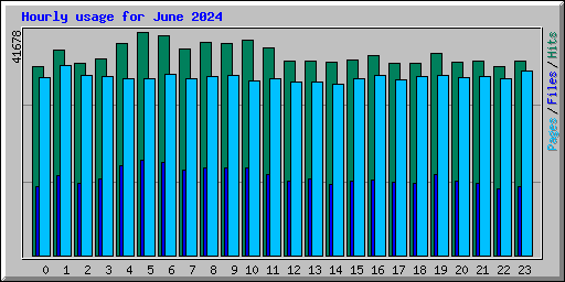 Hourly usage for June 2024