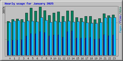 Hourly usage for January 2025