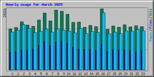 Hourly usage for March 2025