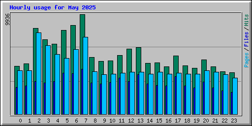 Hourly usage for May 2025
