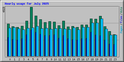 Hourly usage for July 2025