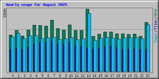 Hourly usage for August 2025